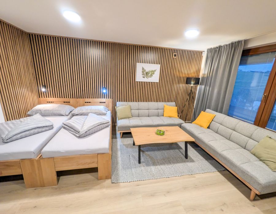 Apartmán #2 - Podkrovní apartmán