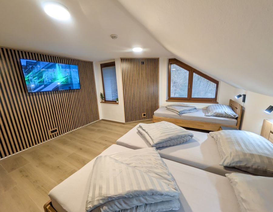 Apartmán #1 - Podkrovní apartmán